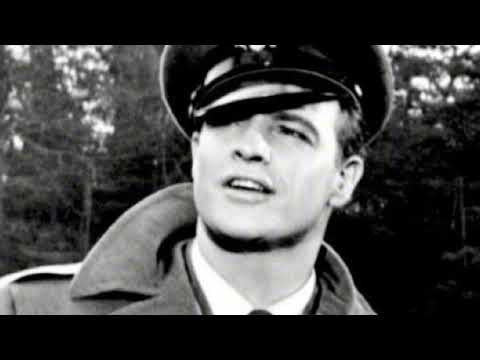 سوري مطلوب العشق لا مو كلام العشق حب وهيام