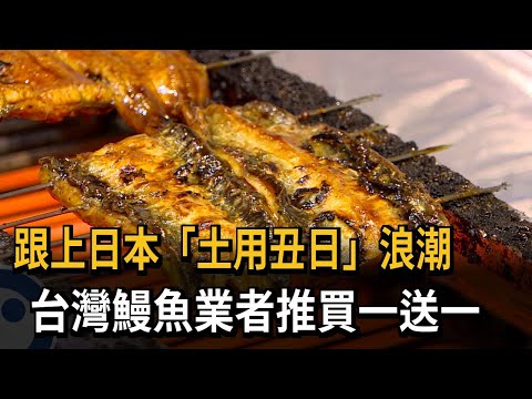 跟上日本「土用丑日」浪潮 台灣鰻魚業者推買一送一－民視新聞
