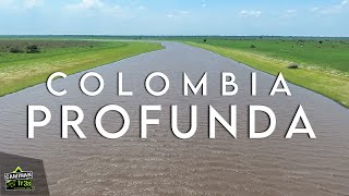 CONOCE la Colombia 🐊 PROFUNDA: La verdad de la Orinoquía