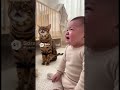 👶🐈 #gemini #ai #chatgpt #sora #grok