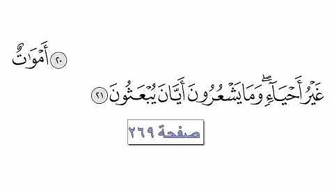 القرآن الكريم الجزء 24 - القارئ معتز آقائي مع الآيات للتتبع