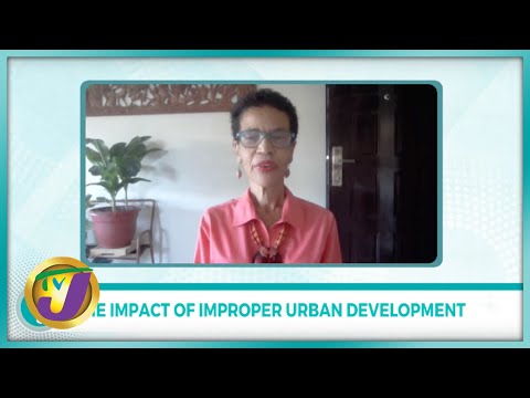 The Impact of Improper Urban Development with Dr. Barbara Carby | TVJ Smile Jamaica