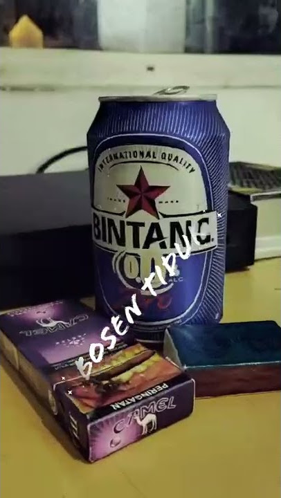 story wa penikmat malam