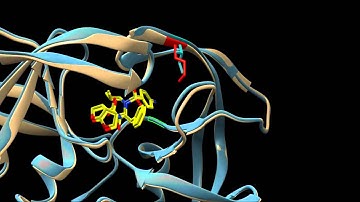 Drug Resistance in HIV Protease Mutant with Darunavir