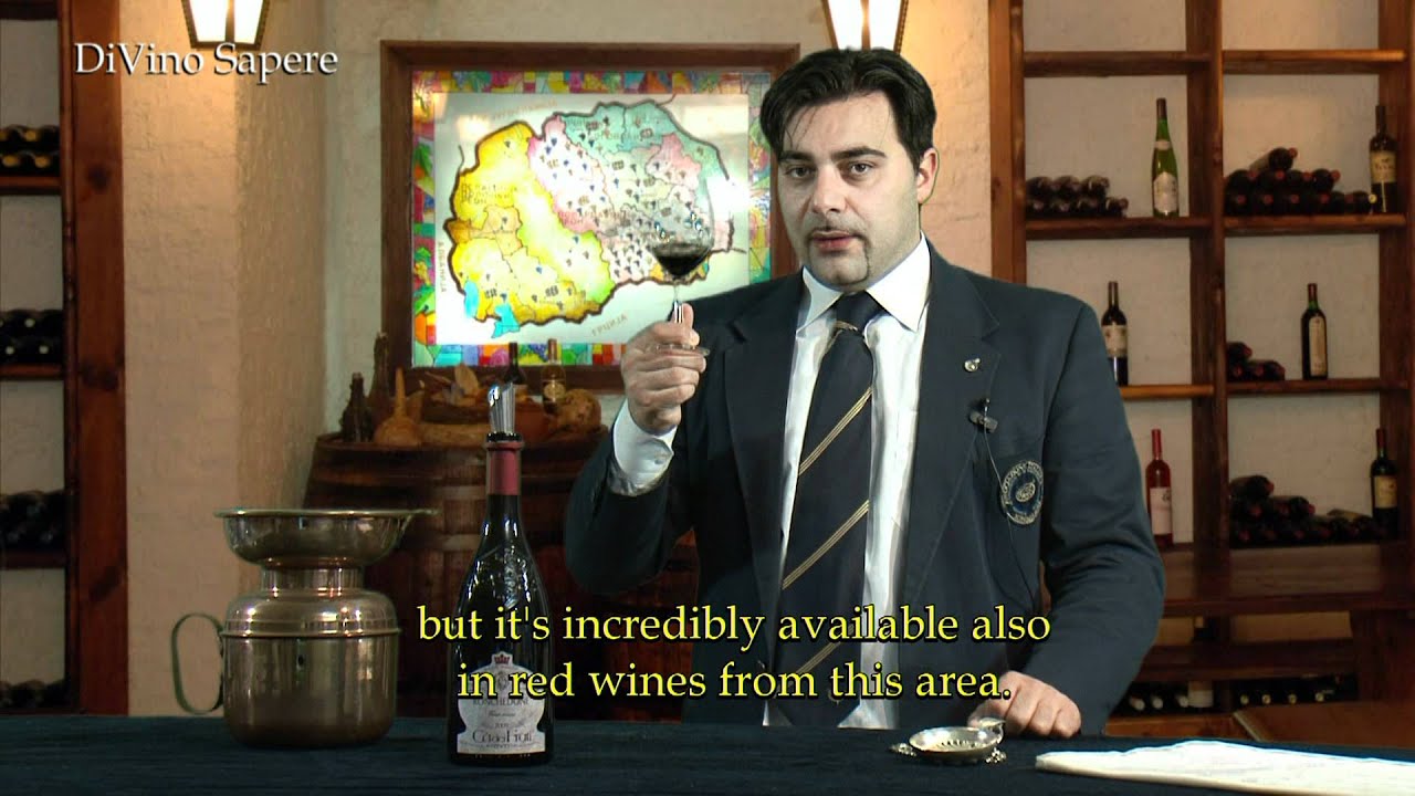 Ronchedone 2009 Vino Rosso, Ca' dei Frati - Videodegustazione (Online wine tasting)