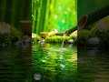 Sleeping Music for Deep Sleeping 😴 Bamboo Water Sound, Relaxing Relieves Stress, Calm Anxiety