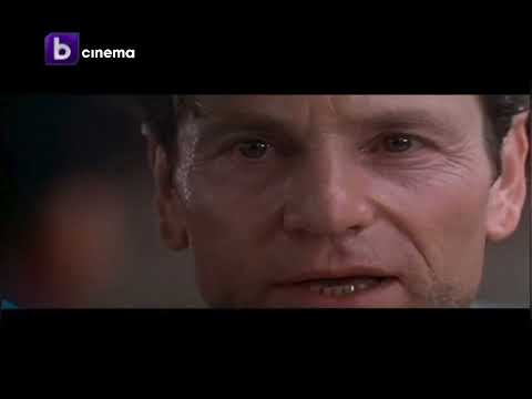 BTV Cinema Реклами И Шапки 13 12 2009