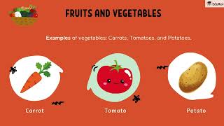 Food We Eat! 🍎🍛 | Class 2 EVS