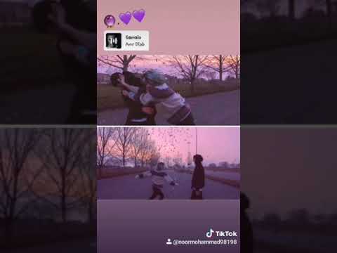 الله علي جمالوا عمرو دياب