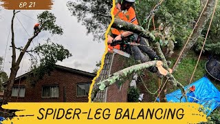 How to rig a tree over a house Ep. 21