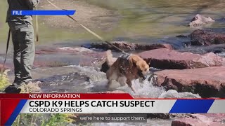 How K-9s help CSPD catch suspects