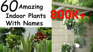 60 Amazing Indoor Plants With names |Wonderful ideas|