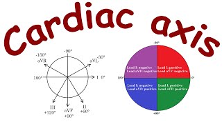 Ecg Basics Cardiac Axis