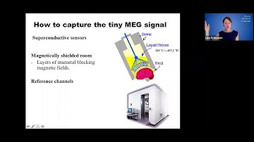 3-4 METHODS II: EEG and MEG (30mins)