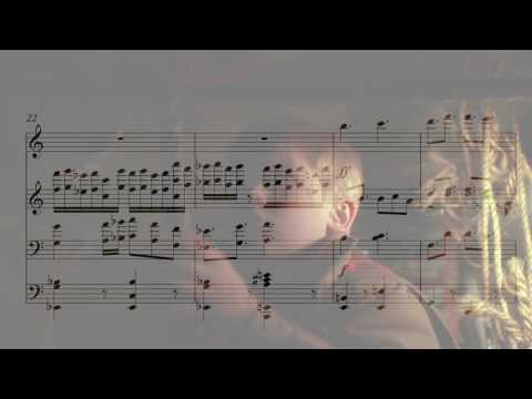 (Orchestral version) ''Setting the Trap'' from Home Alone(1990) by John Williams transcription