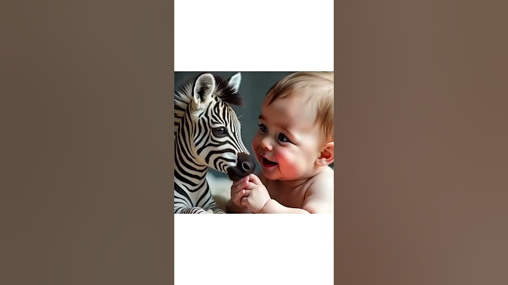 Babiesh/Бебоци