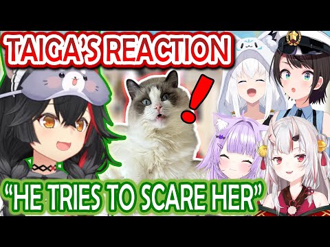 Mio Reveals How Her Cat Reacts to Different Hololive Members
