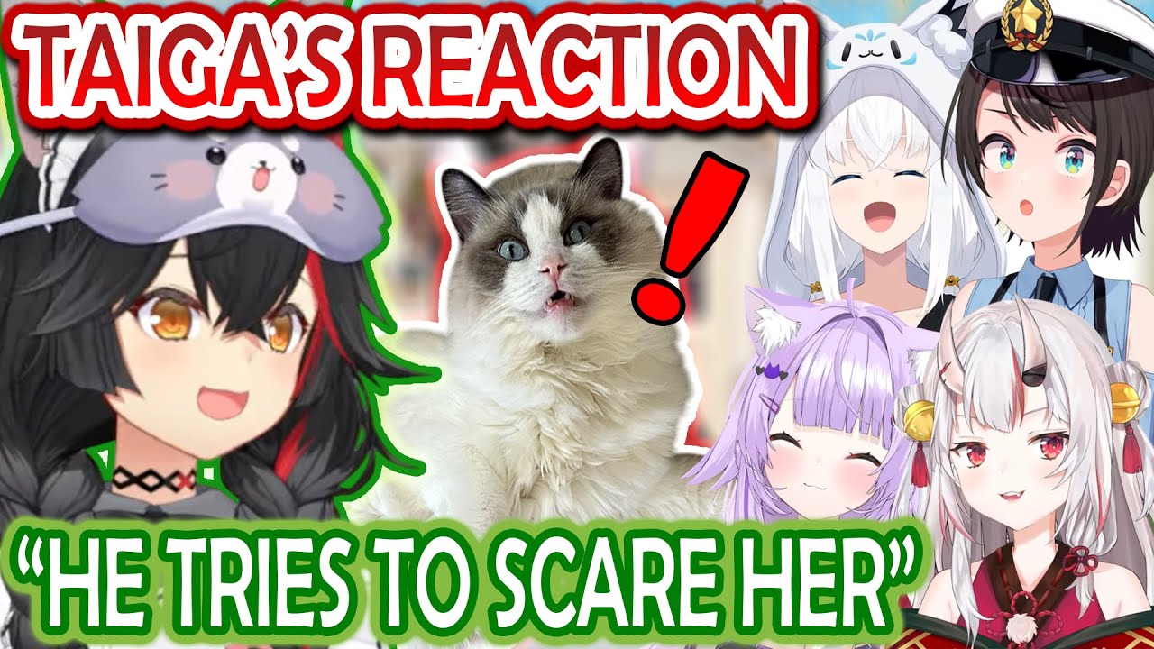 Mio Reveals How Her Cat Reacts to Different Hololive Members