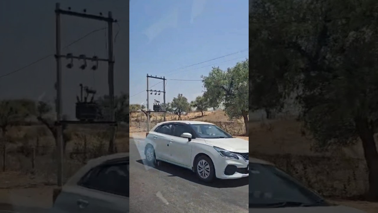 Desert Area Rajasthan 