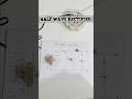 Half Wave Rectifier Model | Easy Electronics Project 🔥