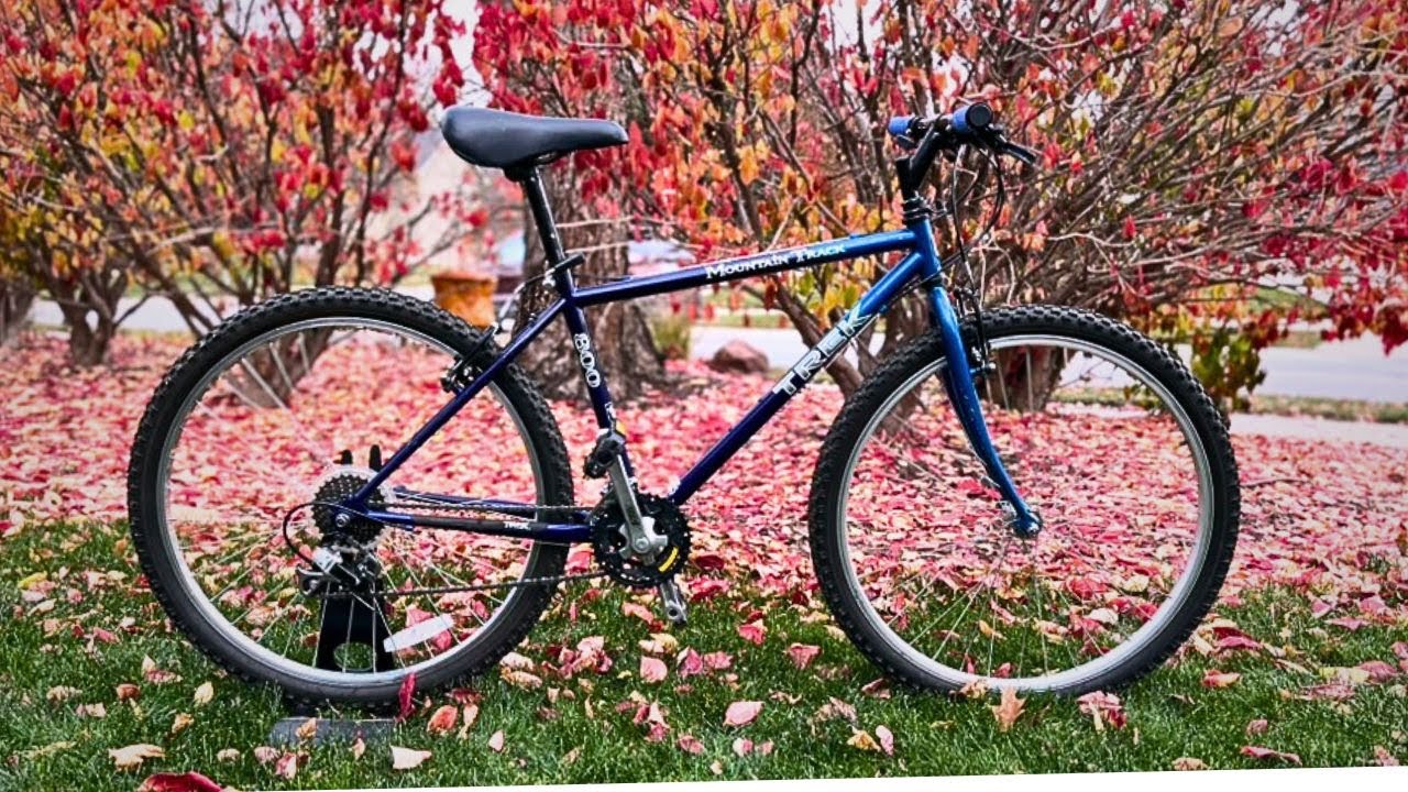 The Cursed $30 Trek 800: From Ant-Infested to Sold! 🐜 🤑 - YouTube