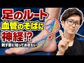 【足のルート確保】見える血管だけで選んでいませんか？触診と神経の位置から考える判断ポイント