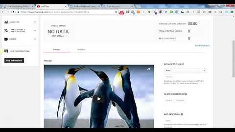 Video - How To Rank YouTube Videos on Page 1 of Google in Minutes