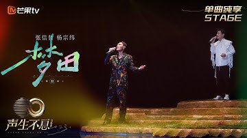 【纯享】张信哲&杨宗纬《梦田》| 二重唱层次感拉满，种下春意盎然的种子 | 声生不息宝岛季 EP3 Infinity and Beyond 2023 | MangoTV