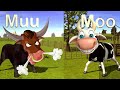 La vaca lola el toro enfadado y la vaca feliz  parody vieo must watch