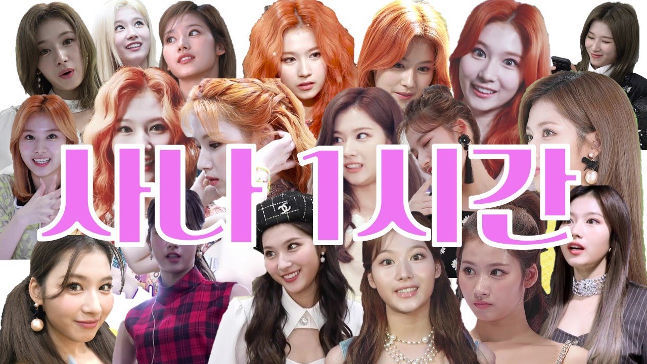 [TWICE] 트와이스 사나 - 사나 1시간 - 큐티 섹시 애교 미모 혼자 다하는 사나 - 중복 주의 - TWICE SANA 1 hour