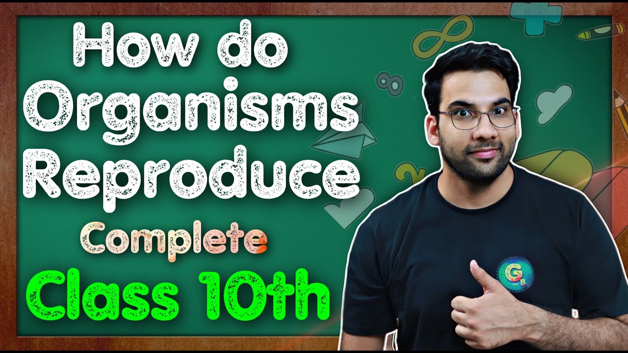 How Do Organisms Reproduce, Reproduction Class 10 Science Chapter 7