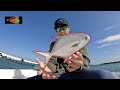 Multi species fishing in caxambas pass marco island fl