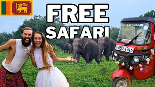 Self Drive TukTuk Safari in Yala, Sri Lanka 🇱🇰 screenshot 4