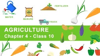 Agriculture - Chapter 4 Geography NCERT Class 10