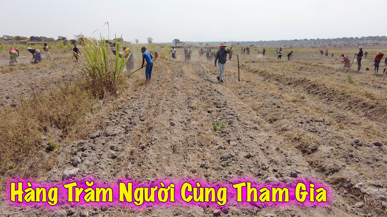Linh Philip || Hàng Trăm Người Dân Cùng Đến Trang Trại Tham Gia Khai Hoang Mở Rộng Diện Tích