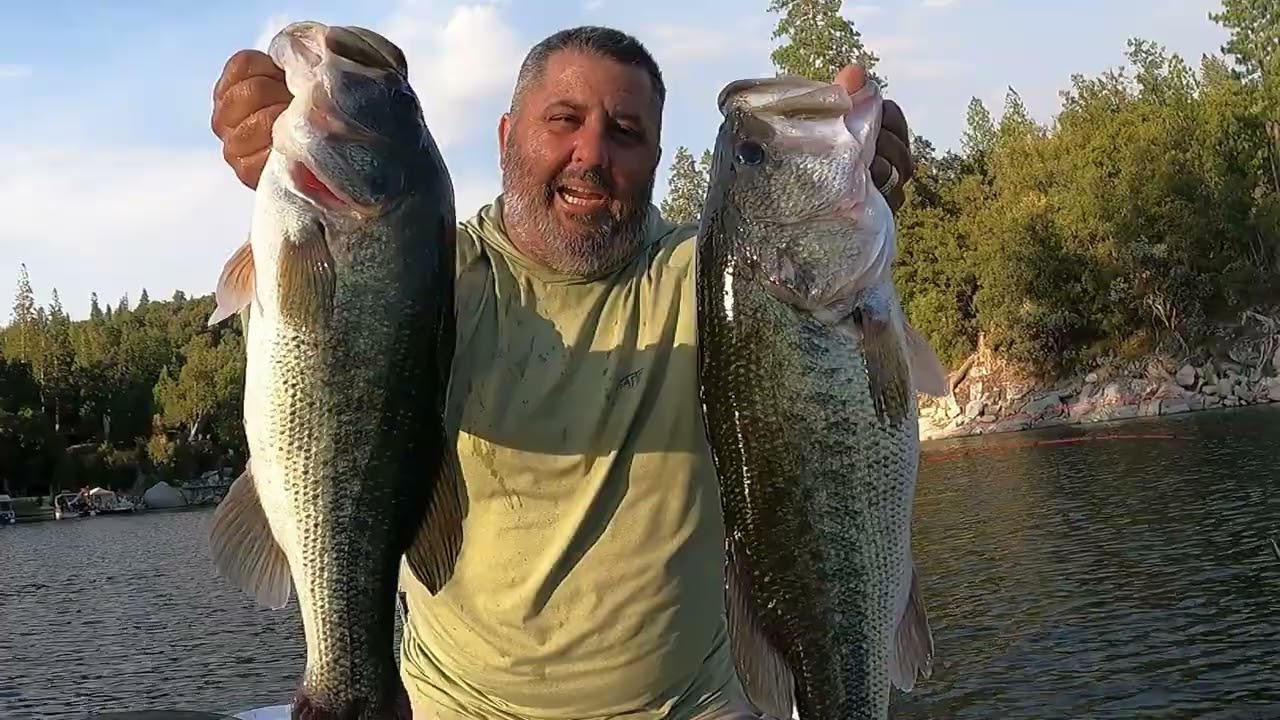 Great Day Bass Fishing Bass Lake California Beautiful Scenery