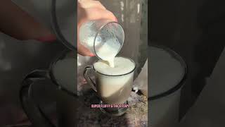 Milk Frother Review #reels #viral #viralreels #tiktok #coffee #milkfrother  #coffeerecipe