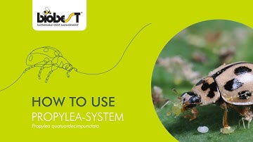 How to use Propylea-System from Biobest