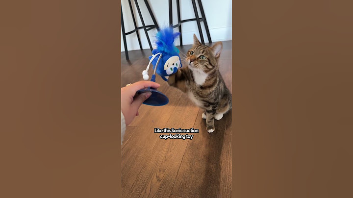 Unboxing Sonic-Themed Cat Toys | The Pack