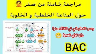 مراجعة شاملة حول المناعةمن الصفر/ هذا فيديو راح يهنييييكاضبط مصطلحات و مراحل