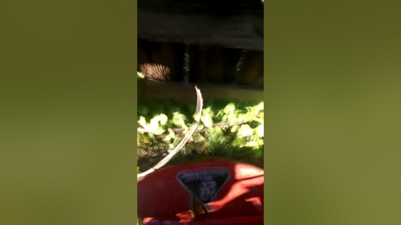 Snapper mower grinding noise YouTube