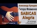 Испанская гитара фламенко. Sabicas  Alegria. #1. (Не Дидюля)