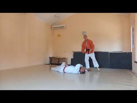 Video: Sport-Sambo Oder Aikido: Was Ist Zu Bevorzugen