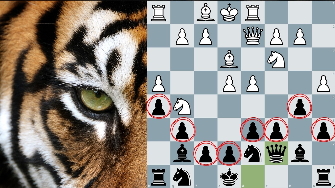 Не стоит связываться с современной защитой «Тигра».