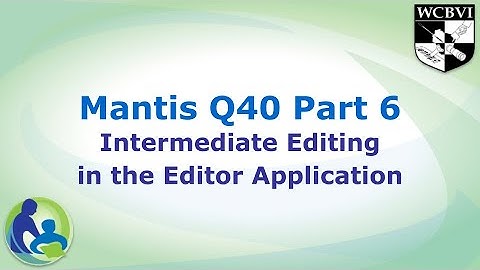 Mantis Q40 Part 6: Intermediate Editing in the Editor Application