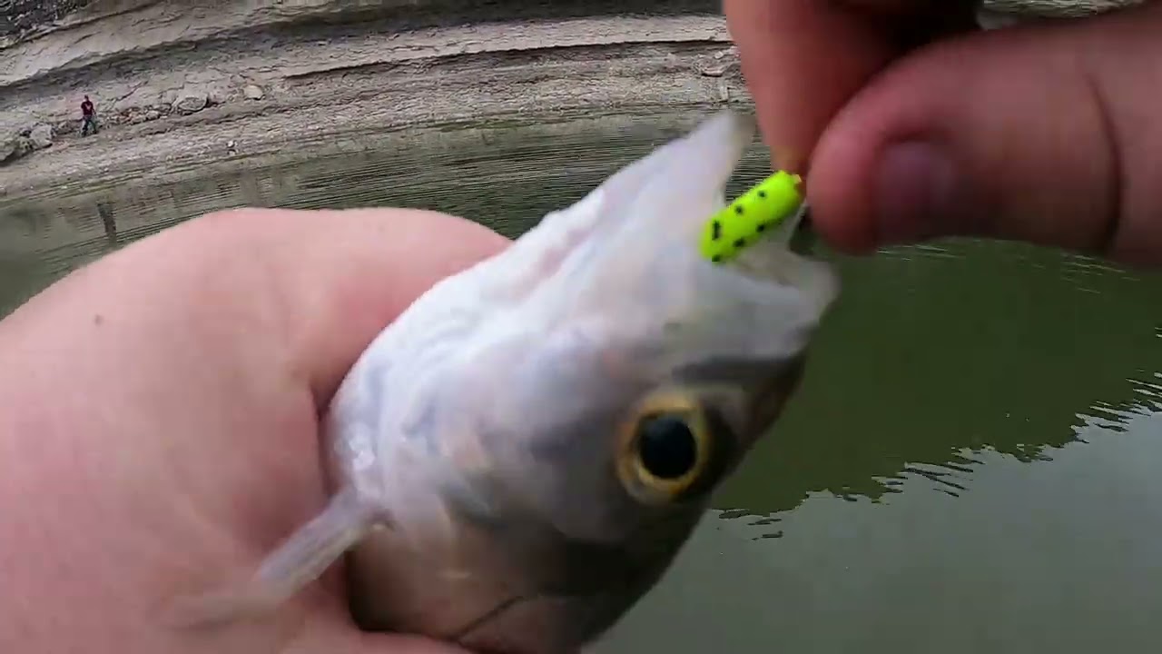 white bass fishing in thunder storm (Super Sketchy!!!!)