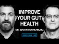 Dr justin sonnenburg how to build maintain  repair gut health  huberman lab podcast 62