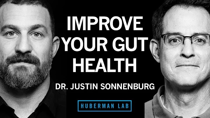 Dr. Justin Sonnenburg: How to Build, Maintain & Repair Gut Health | Huberman Lab Podcast #62 - DayDayNews