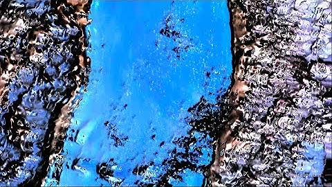 The ClimateMusic Project with the San Francisco Conservatory of Music | Exploratorium