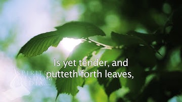 Mark 13:28 - Now learn a parable of the fig tree; When her branch is yet tender - Bible Verses